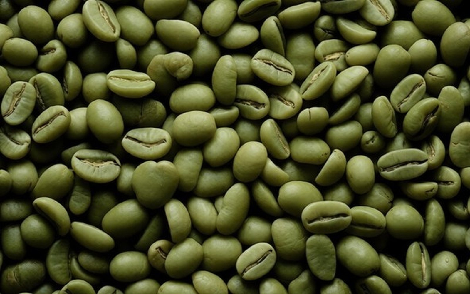 Premium green coffee beans ready for export from Indonesia