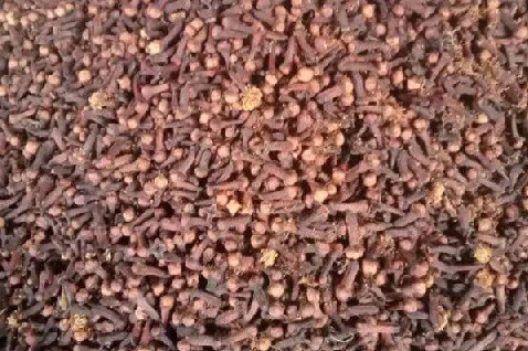 Premium Indonesian dried cloves