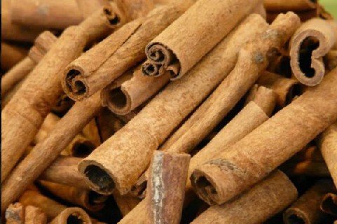 Cinnamon sticks and bark for international trade