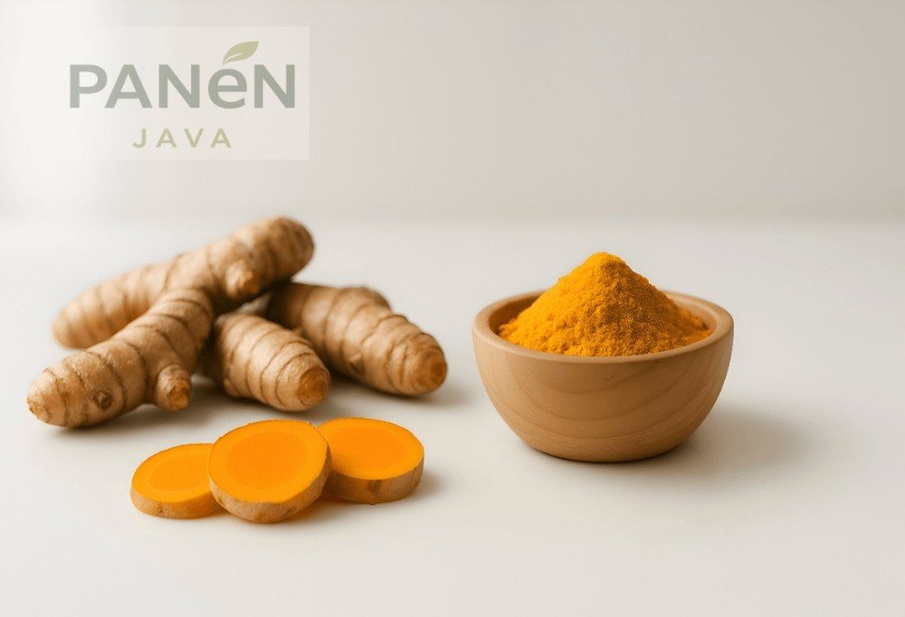 Fresh turmeric root from Indonesian farms