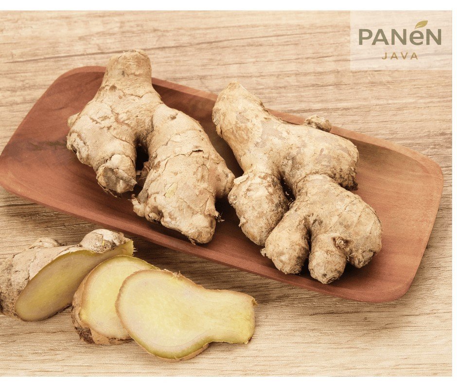 Elephant ginger root prepared for export